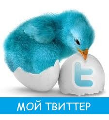мой твиттер