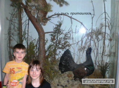 Краеведческий музей Рязань-Kraevedcheskij_muzej_Rjazan Краеведческий музей Человек и природа в Рязанском Кремле